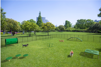 BarkPark Small Dog Advanced Kit 6-piece agility course in natural color scheme - full set view