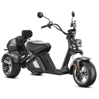 Eahora M2 Electric Trike in Black - side view hero shot