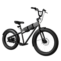 JackRabbit MG Renegade Electric Bike - Lightweight Micro Hauler, Black