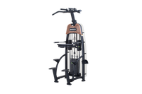 SportsArt N911 Assisted Chin-Up and Tricep Dip Machine - Full View