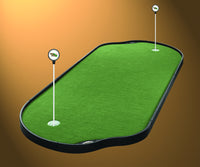 Pro Putt Systems Tour Links Putting Green