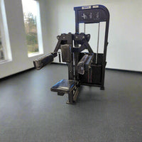 SFE Selectorized Lateral Raise Delt Fitness Machine 250lb Weight Stacks