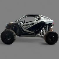 2 Seater Pro XP Cage by L&W Fab