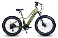 Dirwin Pioneer Lite 750W Hunting Electric Bike