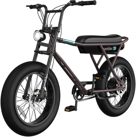 Razor Rambler 20 electric bike with balloon tires