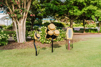 Freenotes Conga Hive Ensemble - Outdoor Park Musical Instruments