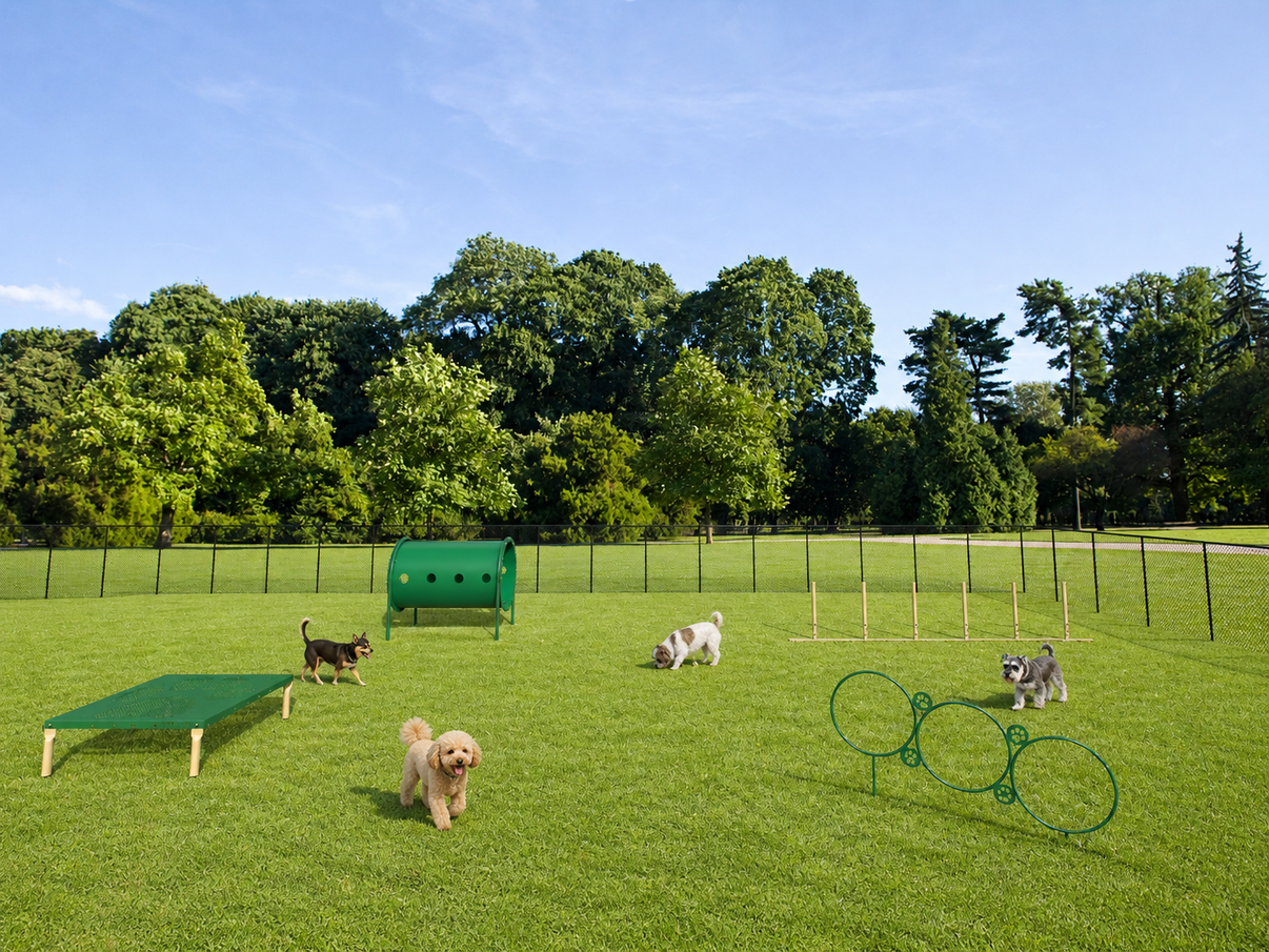 BarkPark Small Dog Agility Course Kit - Natural Color - 4 Piece Set