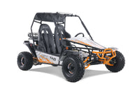 Tao Motor Baja Sport 200 Adult Go-Kart - Large-Sized Go Kart 170cc