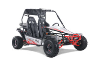 Tao Motor Baja Sport 200 Adult Go-Kart - Large-Sized Go Kart 170cc
