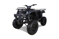 Tao Motor Bull 150 ATV