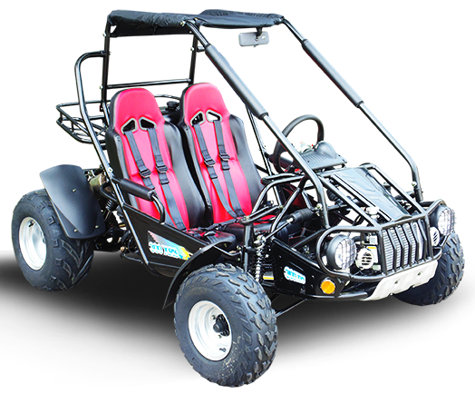 TrailMaster 300E XRS EFI Dune Buggy Go Kart - full view, liquid cooled chain drive
