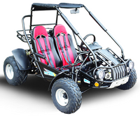 TrailMaster 300E XRS EFI Dune Buggy Go Kart - full view, liquid cooled chain drive