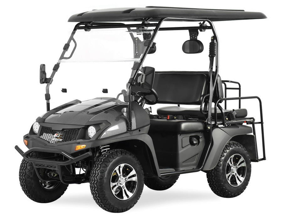 TrailMaster Taurus 200GX UTV Golf Cart gallery image 1