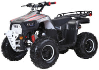 TrailMaster Lander-XD 125UF 125cc Utility ATV - front angle view