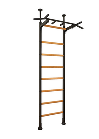 BenchK 521 Gymnastics Wall Bars - Wall Mounted Ladder