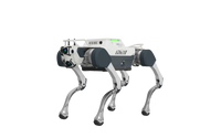DEEP Robotics X30 Pro quadruped robot with intelligent controller