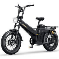 Tesway X7 AWD Step-Over Electric Bike 3600 Dual Motor 200NM Torque