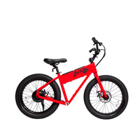 JackRabbit XG "Big" Micro E-Bike | Lightweight & Compact - Red