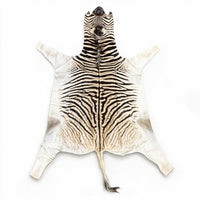 Real Zebra Hide Rug | Authentic South African Zebra