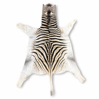 Real Zebra Hide Rug | Authentic South African Zebra