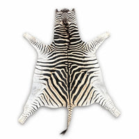Real Zebra Hide Rug | Authentic South African Zebra