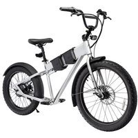 JackRabbit MG Renegade Silver E-Bike - Lightweight Micro Hauler
