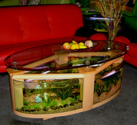 60 Gallon GLASS Oval Round Table Aquarium Fish Tank Setup