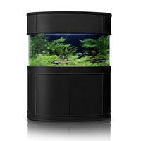 Glass Bowfront Aquarium Fish Tank