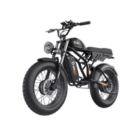 Freego Flash F3 Pro Dual Motor and Battery Electric Bike