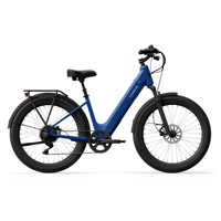 TENWAYS Wayfarer 750W Electric Bike