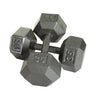 55lb to 100lb Iron Hex Dumbbell Set by Troy Barbell