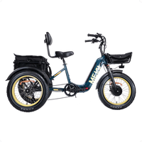 SILVERADO-HD Fat Tire Electric Tricycle by DW Meigi
