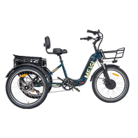 SILVERADO Urban Electric Tricycle by DW Meigi