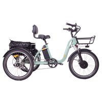 BLAZER Full Suspension Electric Tricycle by DW Meigi