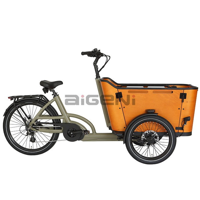 Aigeni C70 Mid Drive Cargo Ebike - Full View