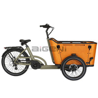 Aigeni C70 Mid Drive Cargo Ebike - Full View