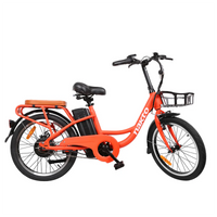 Nakto Pony Electric Bike 250W