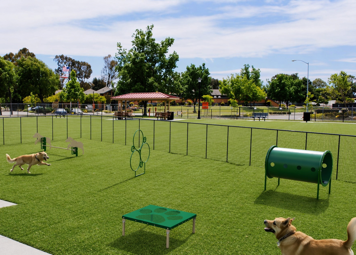 BarkPark Novice 4-Piece Dog Agility Course Kit - Natural Color with all four activities shown in outdoor grass setting