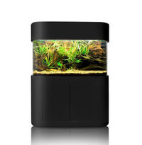 Glass Panoramic Flat Aquarium Fish Tank