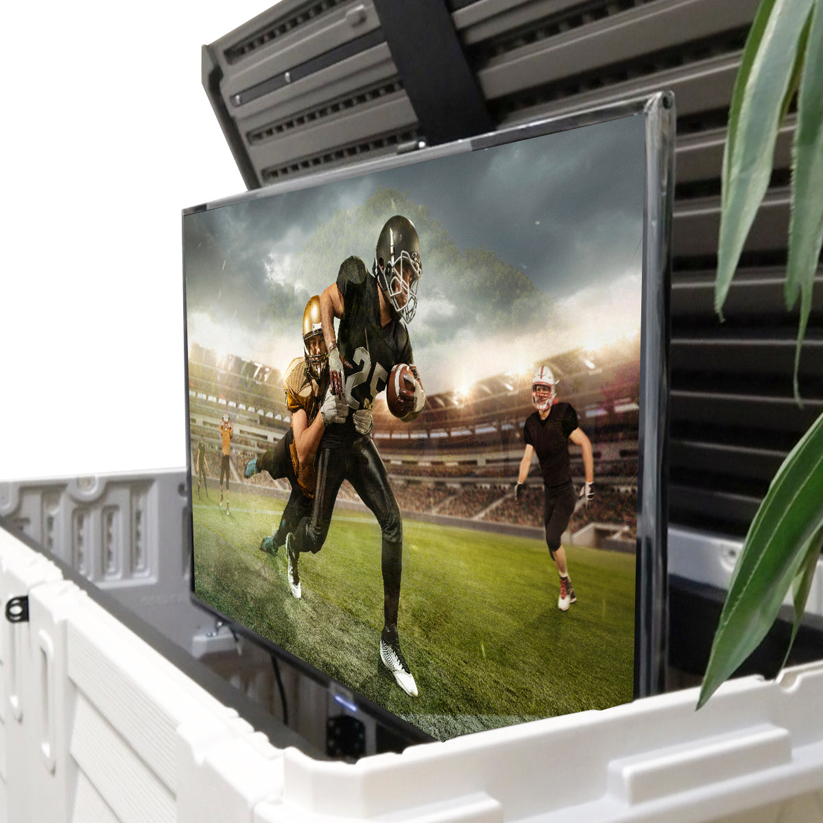 MirageVision Outdoor Econo Lift Cabinet with TV raised - front view