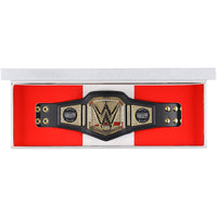 Autographed 2025 WWE Survivor Series Mini Title Belt signed by five superstars - detail view