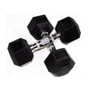 55lb to 100lb Rubber Hex Dumbbell Set by Troy Barbell