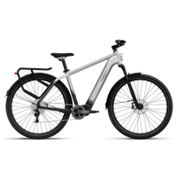 TENWAYS AGO X Hybrid Electric Bike - The Urban All-Rounder