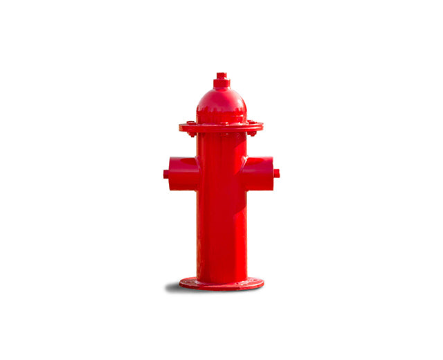 Red dog park fire hydrant with thermoplastic coating, surface mounted