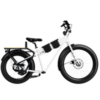 JackRabbit MG Cargo Electric Bike - White