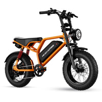 Windhorse V8MINI Electric Bike