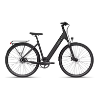 TENWAYS CGO800S Electric Bike